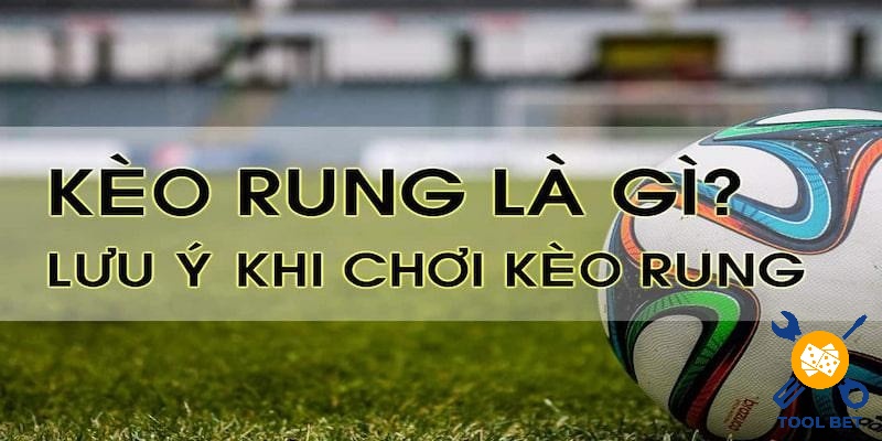 Nắm vững những điều quan trọng về kèo rung mà chuyên gia chia sẻ 