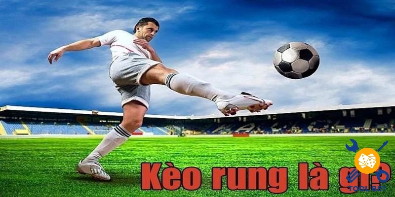 Kèo rung là loại kèo được không ít người chơi cá cược ưa chuộng