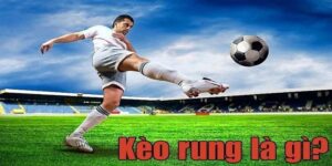 Kèo rung là gì? Hướng dẫn cược kèo rung chuẩn xác